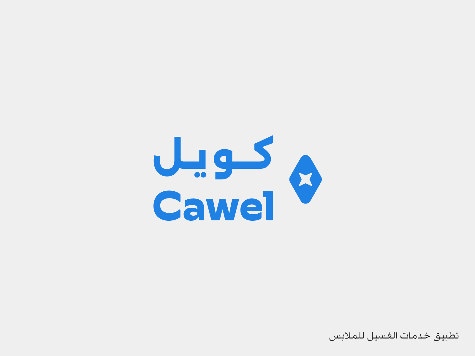 ملخص جزئي لأعمال الشعارات — صورة 2